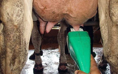 Teatscrubber